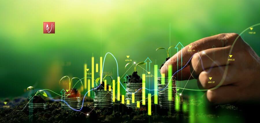 From Vision to Venture: How to Launch a Successful Green Startup